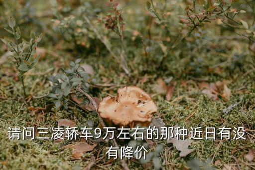 請問三凌轎車9萬左右的那種近日有沒有降價