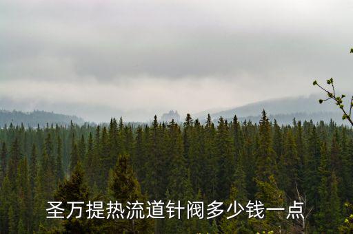 圣萬提熱流道針閥多少錢一點