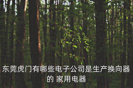 東莞虎門有哪些電子公司是生產換向器的 家用電器