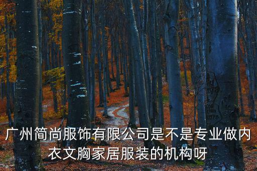 廣州簡尚服飾有限公司是不是專業做內衣文胸家居服裝的機構呀