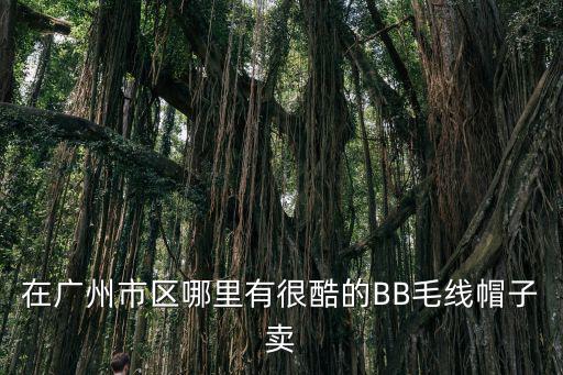 廣州個性帽子，或者青島沒有 去外地的話那有只知道廣州有青島個個性帽子店的