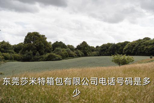 東莞莎米特箱包有限公司電話號碼是多少