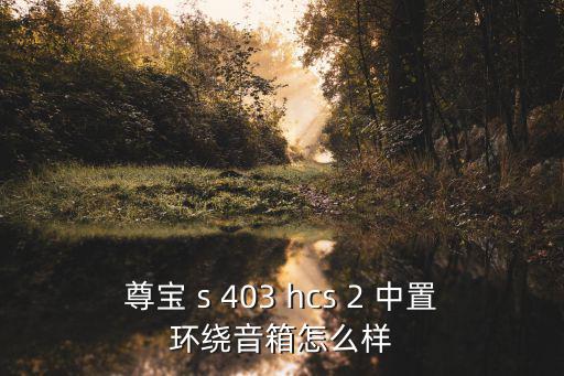 尊寶 s 403 hcs 2 中置環繞音箱怎么樣