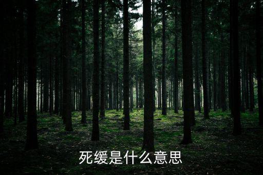 死緩是什么意思