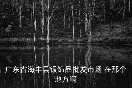 廣東省海豐縣銀飾品批發(fā)市場(chǎng) 在那個(gè)地方啊