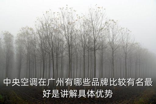 廣州金智中央空調(diào)，廣州嵩高空調(diào)有限公司在哪里