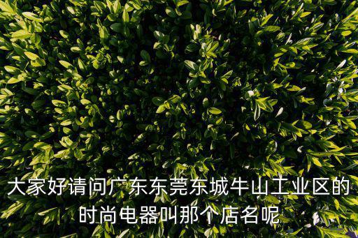 大家好請問廣東東莞東城牛山工業區的時尚電器叫那個店名呢