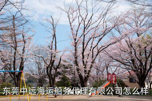 東莞中遠海運船務代理有限公司怎么樣