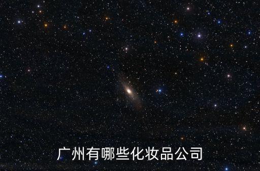 廣州有哪些化妝品公司