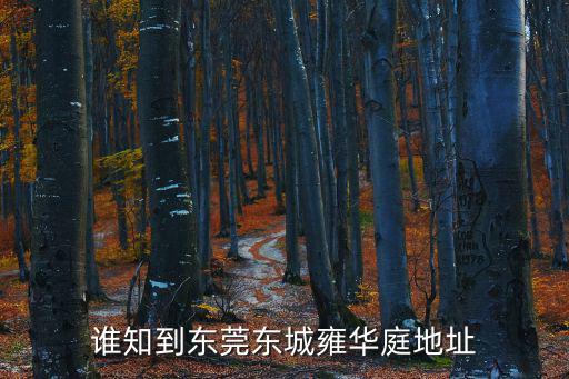 東莞雍華庭韓國街，東莞的韓國街在哪具體點最好是在南城東城或者是莞城的鎮區