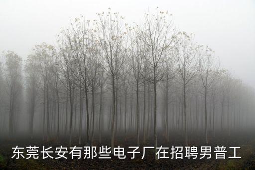 東莞長安有那些電子廠在招聘男普工