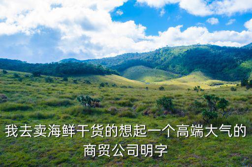 我去賣海鮮干貨的想起一個高端大氣的商貿(mào)公司明字
