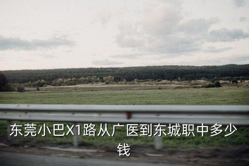 東莞小巴X1路從廣醫(yī)到東城職中多少錢
