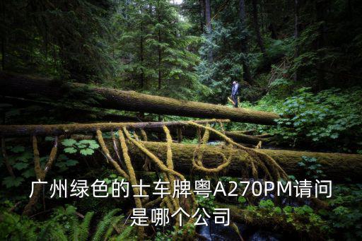 廣州綠色的士車牌粵A270PM請(qǐng)問是哪個(gè)公司