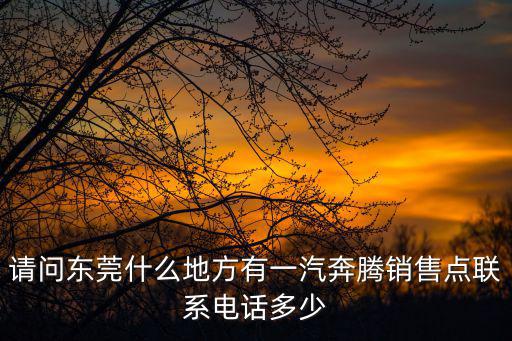 請問東莞什么地方有一汽奔騰銷售點聯(lián)系電話多少