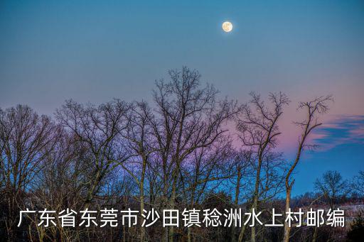 東莞市沙田鎮(zhèn)稔洲水上村86后，廣東省東莞市沙田鎮(zhèn)稔洲水上村郵編