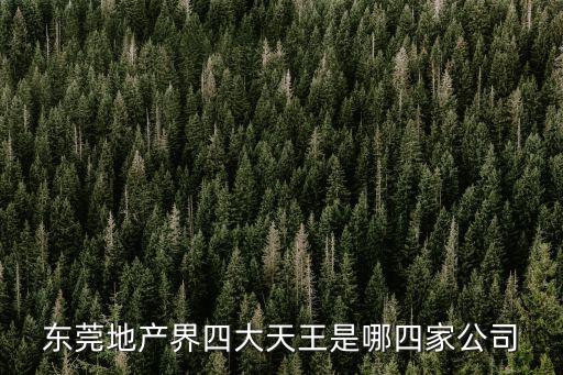 東莞臺(tái)榮集團(tuán)，東莞締奇智能股份有限公司的創(chuàng)始人是誰(shuí)