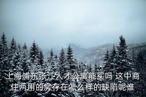 上海浦東張江人才公寓能買嗎 這中商住兩用的房存在怎么樣的缺陷呢誰