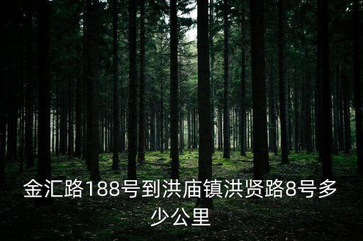 金匯路188號到洪廟鎮洪賢路8號多少公里