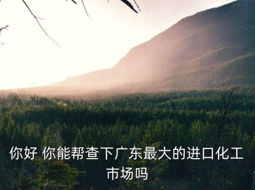 你好 你能幫查下廣東最大的進口化工市場嗎