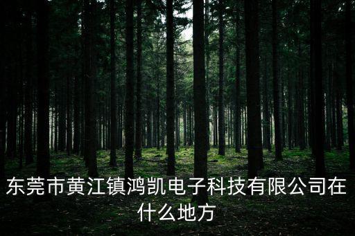東莞市黃江鎮鴻凱電子科技有限公司在什么地方