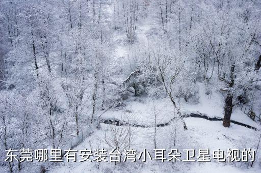 東莞哪里有安裝臺灣小耳朵衛(wèi)星電視的