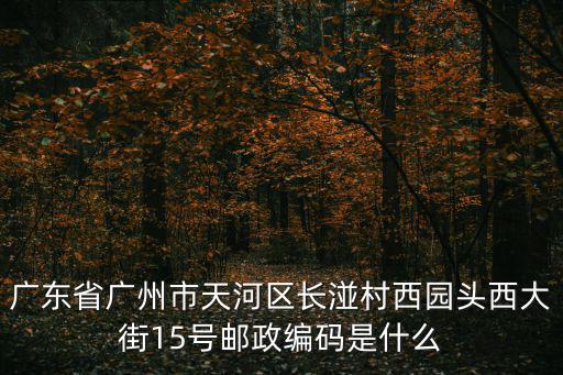 廣東省廣州市天河區(qū)長(zhǎng)湴村西園頭西大街15號(hào)郵政編碼是什么