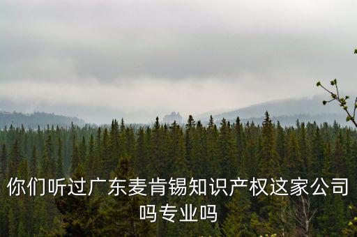你們聽過廣東麥肯錫知識產權這家公司嗎專業嗎