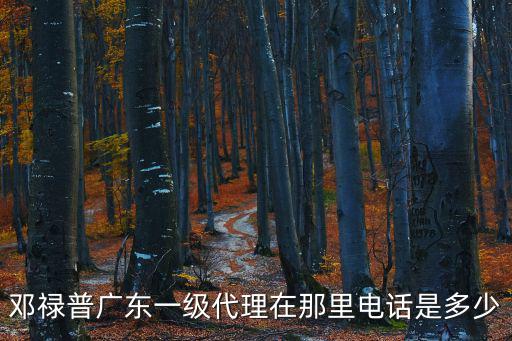 鄧祿普廣東一級代理在那里電話是多少