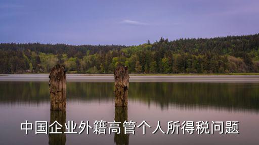 中國企業外籍高管個人所得稅問題