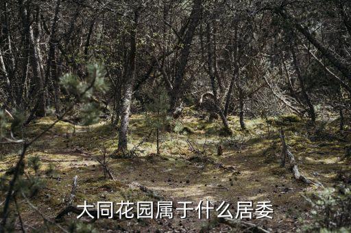 大同花園屬于什么居委
