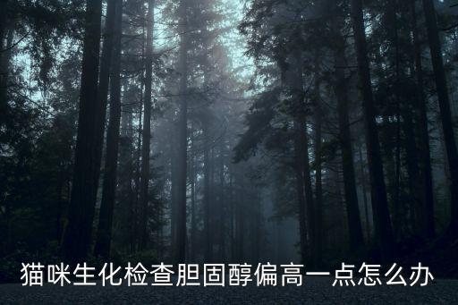 貓咪生化檢查膽固醇偏高一點怎么辦