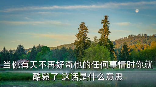 當你有天不再好奇他的任何事情時你就酷斃了 這話是什么意思