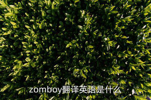 zomboy翻譯英語是什么