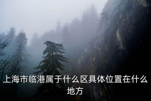南匯新城，南匯新城鎮的介紹
