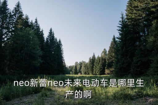 neo新蕾neo未來電動車是哪里生產的啊