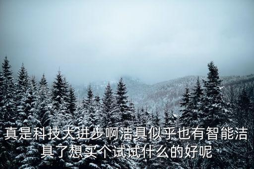 真是科技大進步啊潔具似乎也有智能潔具了想買個試試什么的好呢