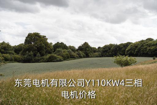 東莞富泰電機(jī)，東莞什么牌子電機(jī)好