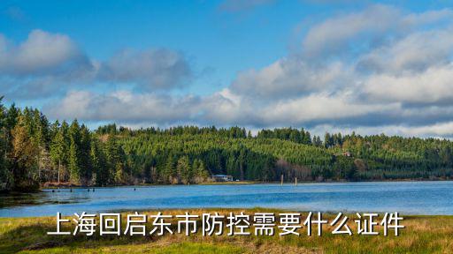 上海啟東，上海回啟東市防控需要什么證件