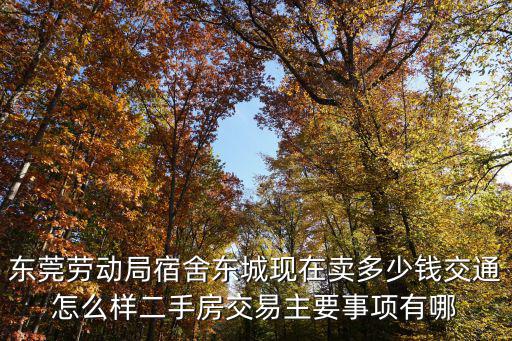 東莞勞動(dòng)局宿舍東城現(xiàn)在賣多少錢交通怎么樣二手房交易主要事項(xiàng)有哪