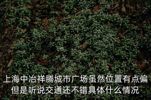 中冶祥騰城市廣場，上海中冶祥騰城市廣場雖然位置有點偏但是聽說交通還不錯具體什么情況