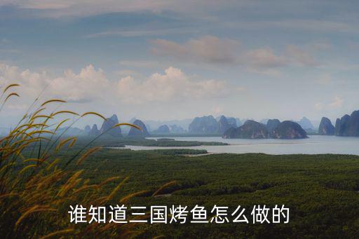 誰知道三國烤魚怎么做的