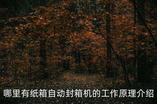 哪里有紙箱自動封箱機的工作原理介紹