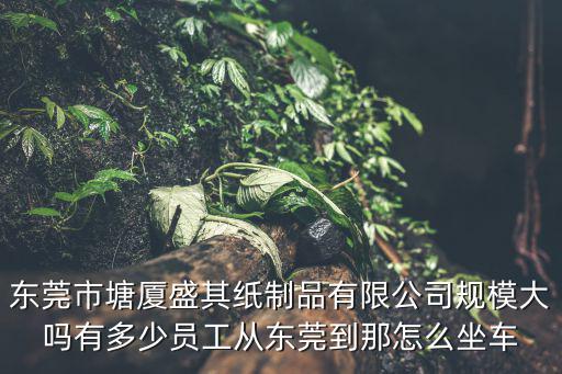 東莞市塘廈盛其紙制品有限公司規模大嗎有多少員工從東莞到那怎么坐車