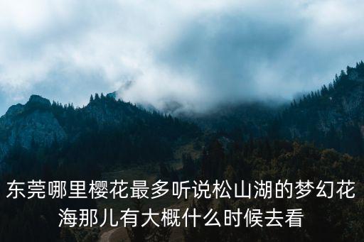 東莞櫻花，東莞哪里有看櫻花的地方