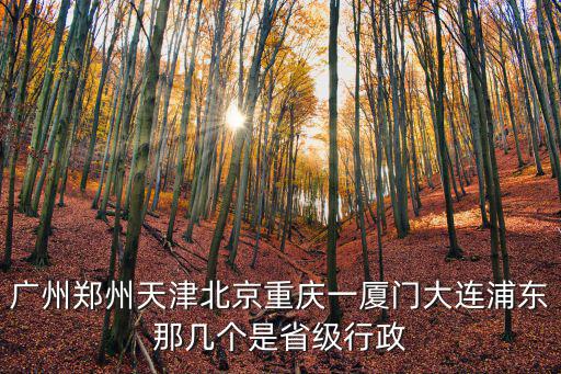 廣州鄭州天津北京重慶一廈門大連浦東那幾個是省級行政
