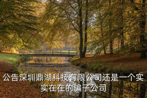 公告深圳鼎湖科技有限公司還是一個實實在在的騙子公司
