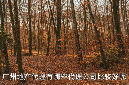 廣州房地產(chǎn)代理，廣州有什么地產(chǎn)公司最好一手代理的謝謝