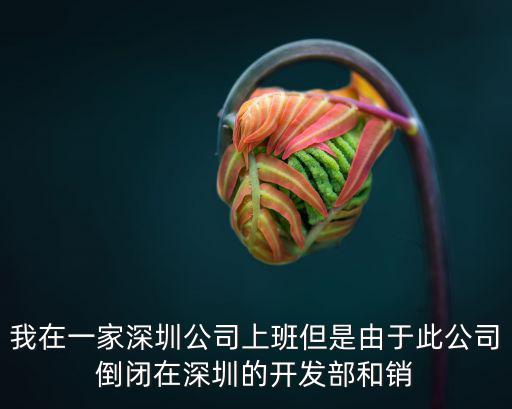 我在一家深圳公司上班但是由于此公司倒閉在深圳的開發部和銷