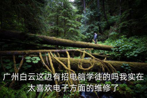 廣州白云這邊有招電腦學徒的嗎我實在太喜歡電子方面的維修了